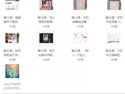 价值2999元小红书电商运营从入门到精通