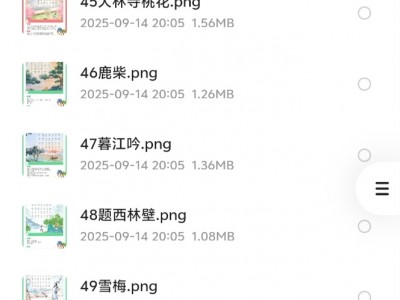 花了199在淘宝买的荷小鱼《100节古诗知识卡片》