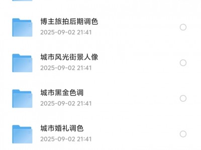 我花了499，在淘宝买的3.3G剪映调色预设模版合集