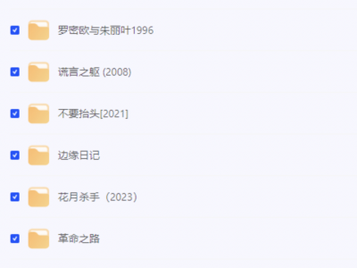 【不一样的天空】【罗密欧与朱丽叶】【泰坦尼克号】小李子(莱昂纳多·迪卡普里奥)【24部经典电影合集】【238GB】