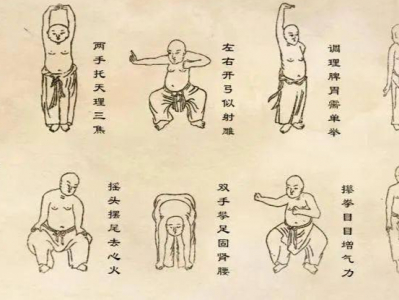 中华健身养生合集，电子书+视频【八段锦、易筋经、五禽戏、六字诀等经典气功，太极拳、八卦掌、咏春拳、形意拳等传统武术】