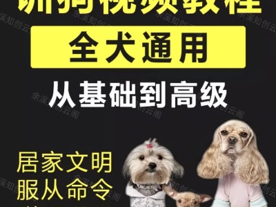 养了3年狗，花了6000块送去训狗学校，不如这套视频教程管用（全犬通用）